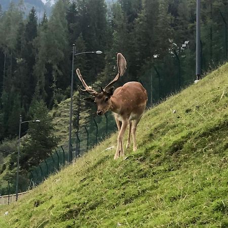 فندق Mountain House Rigolato المظهر الخارجي الصورة