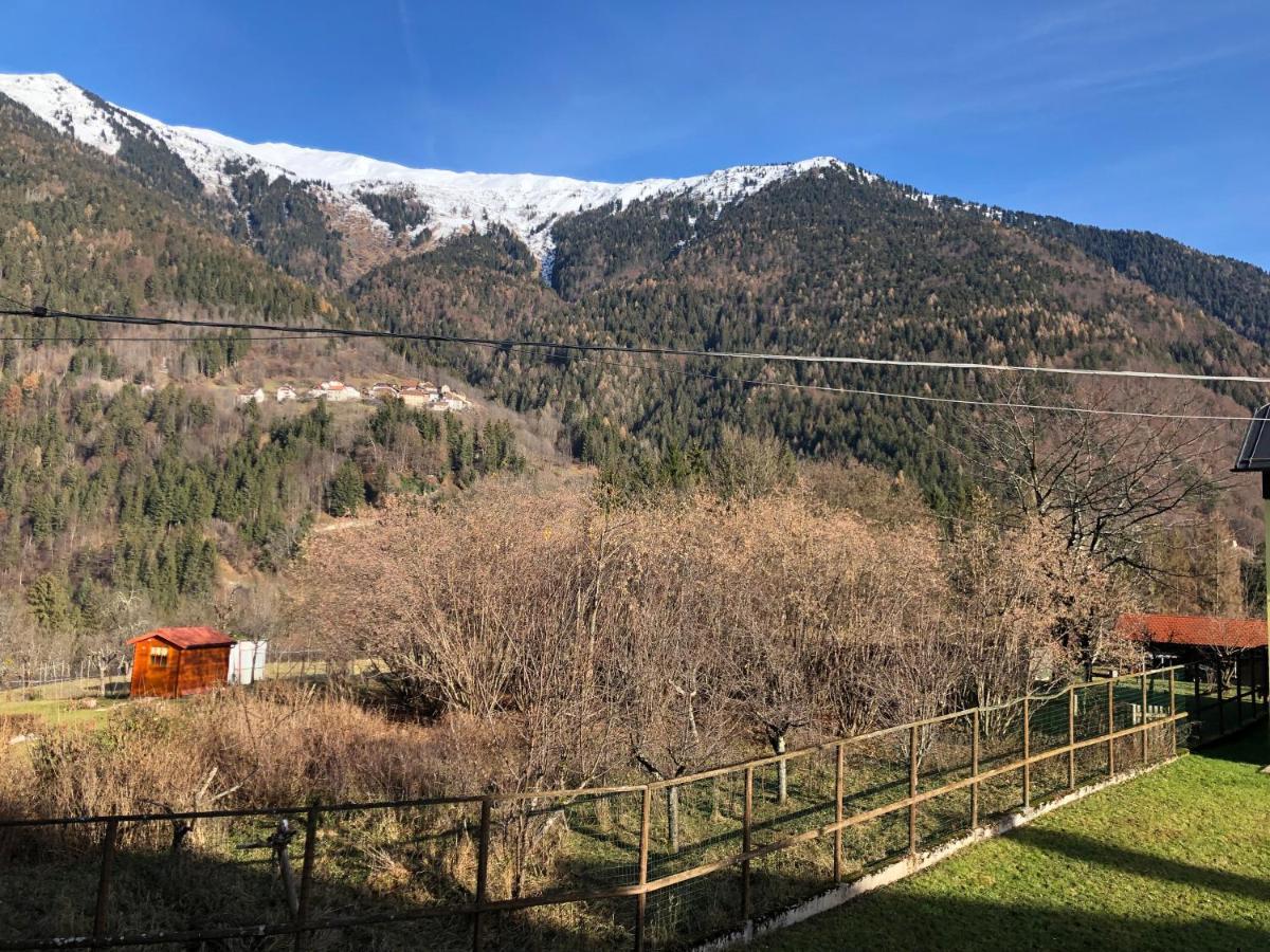 فندق Mountain House Rigolato المظهر الخارجي الصورة